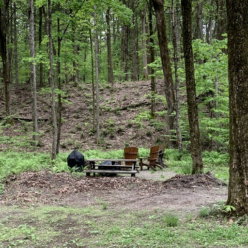 Cabins (United States of America, Altmar, New York)