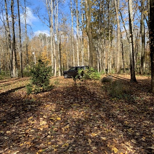 Cabins (United States of America, Altmar, New York)