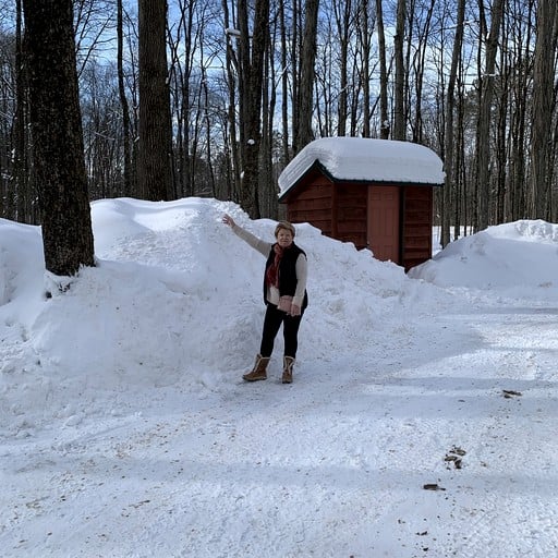 Cabins (United States of America, Altmar, New York)