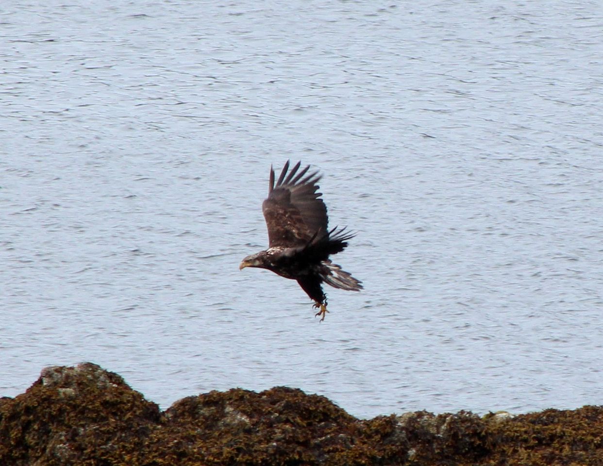 Romantic Room Rental Hidden in a Cove near Ucluelet, British Columbia