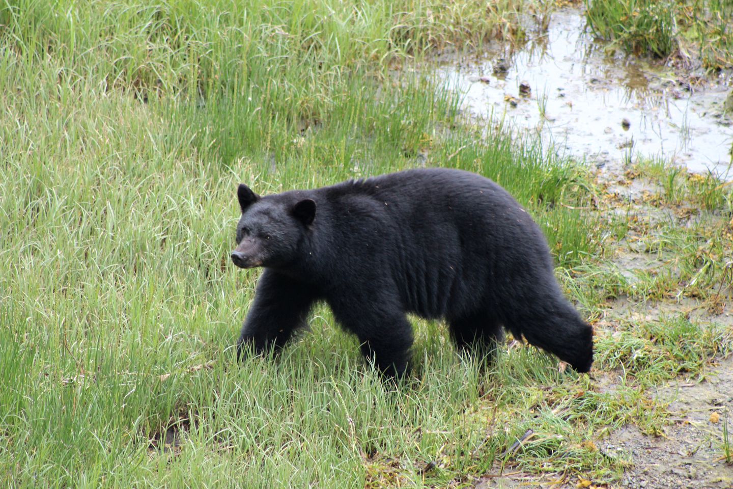 Lovely Room with a Private Hot Tub for a Peaceful Getaway near Ucluelet, British Columbia