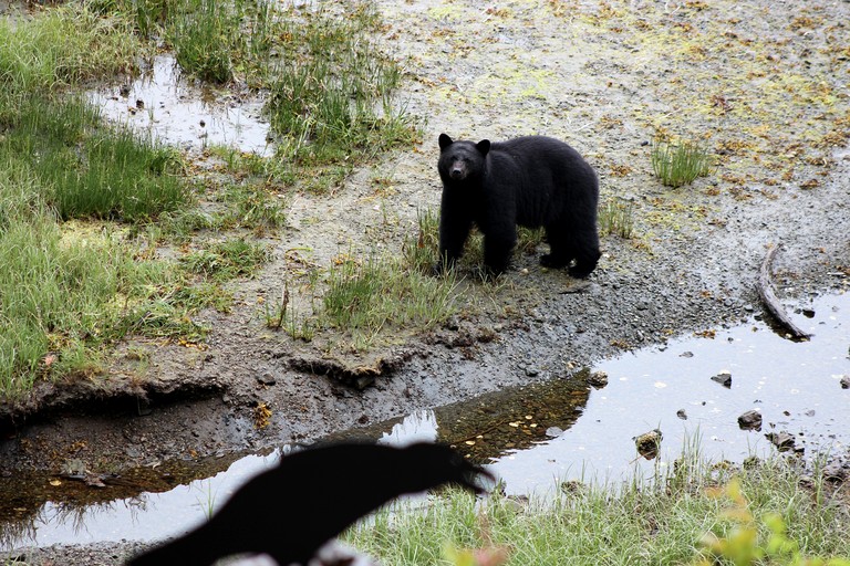 Vacation Rentals (Canada, Ucluelet, British Columbia)