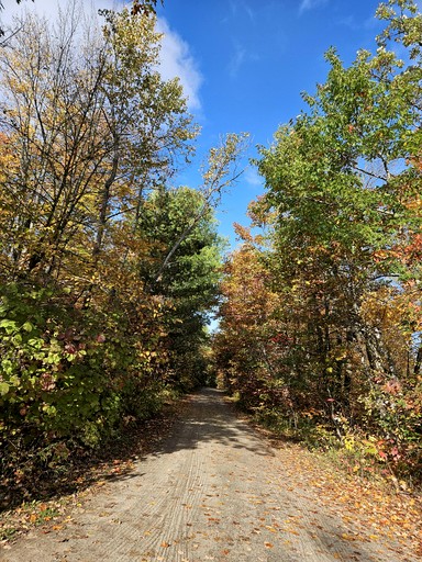 Cabins (United States of America, Nevis, Minnesota)