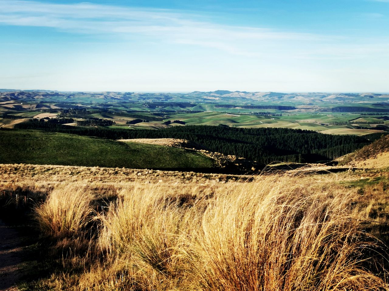 Romantic B&B Cottage Getaway on a Farm in the Countryside near Oamaru, South Island