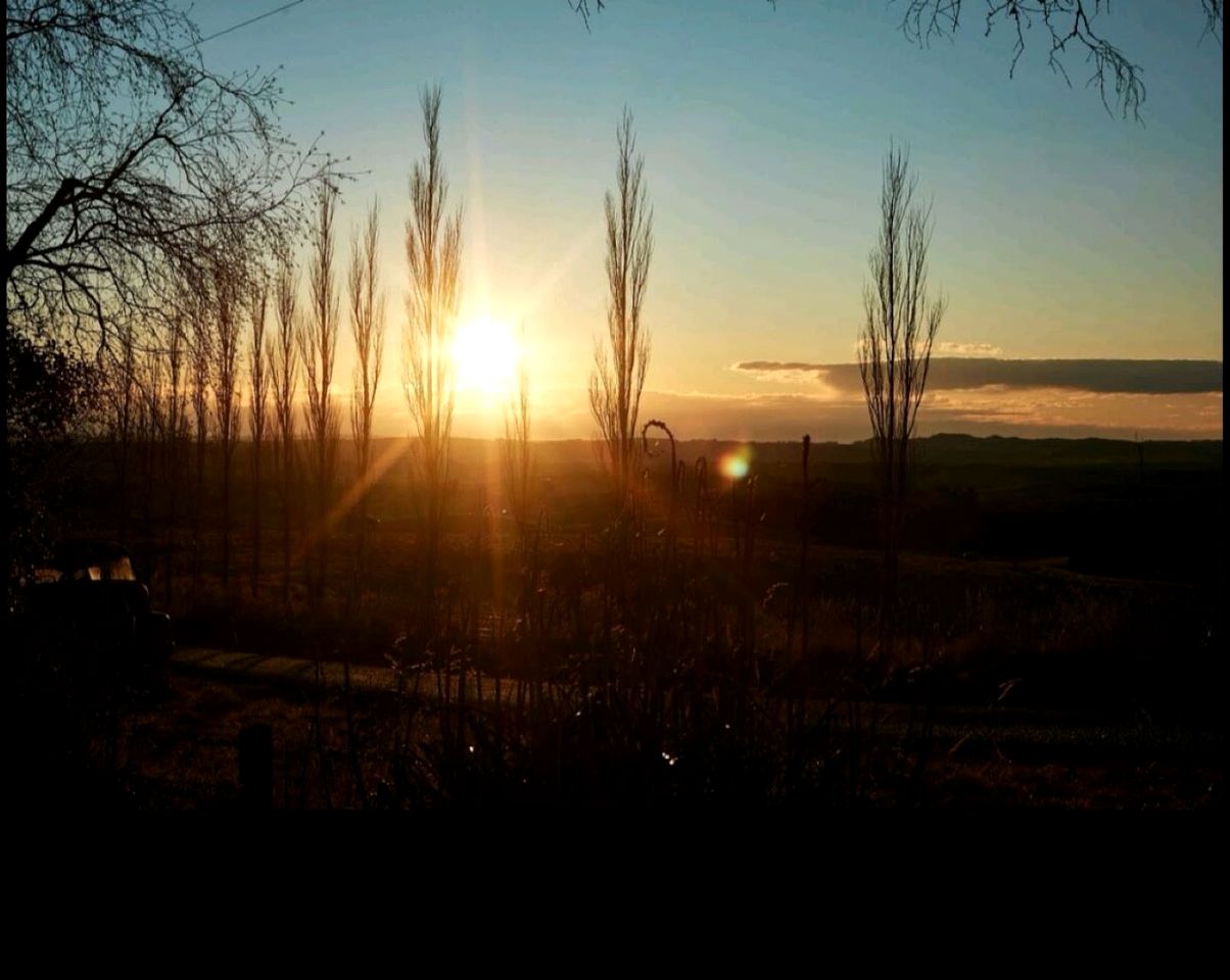 Romantic B&B Cottage Getaway on a Farm in the Countryside near Oamaru, South Island
