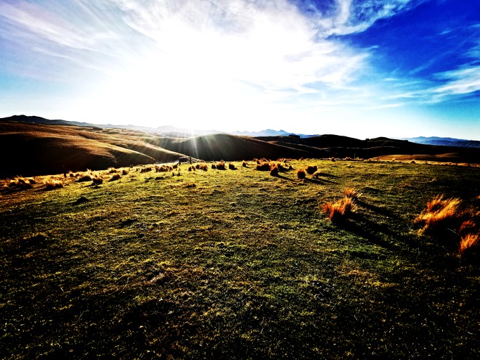 Cottages (New Zealand, Oamaru, South Island)