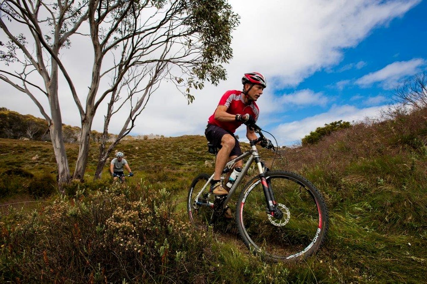 Cozy Cottage Retreat in the Lush Goobarragandra Valley, Tumut, New South Wales
