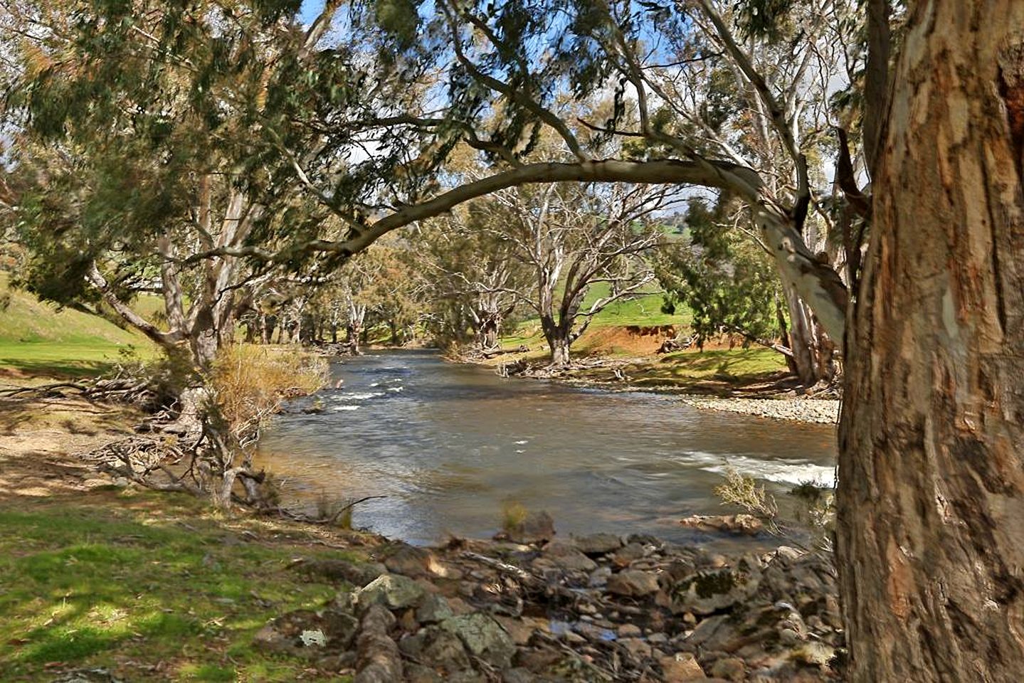 Cozy Cottage Retreat in the Lush Goobarragandra Valley, Tumut, New South Wales