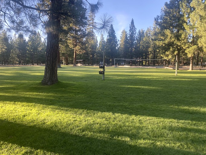 Cabins (United States of America, Sisters, Oregon)