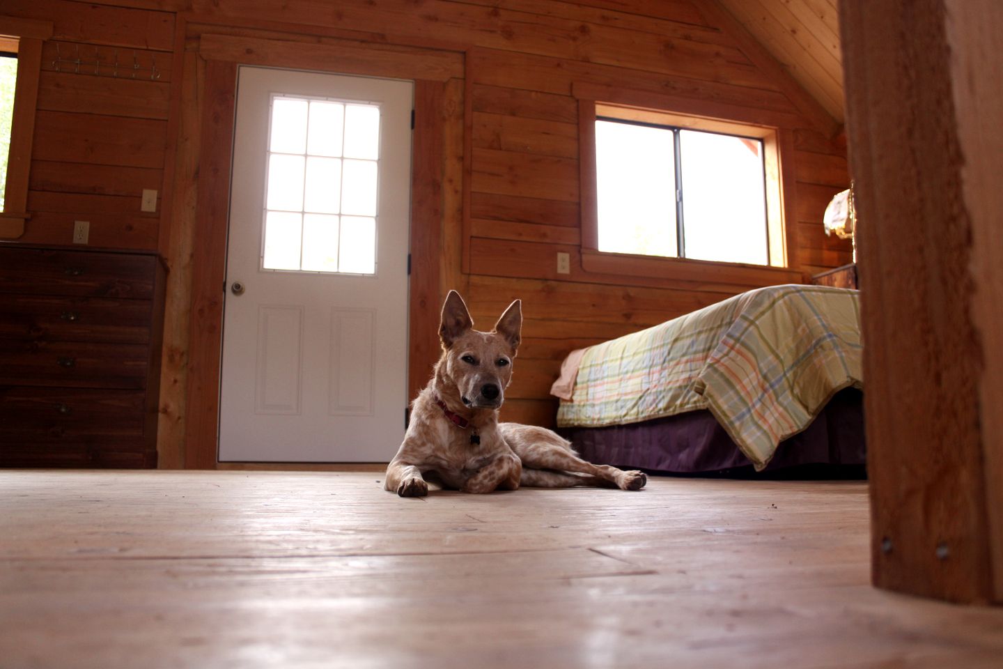 Authentic Log Cabin Rental with Wood from the San Juan Forest near Lake City Ski Hill, Colorado