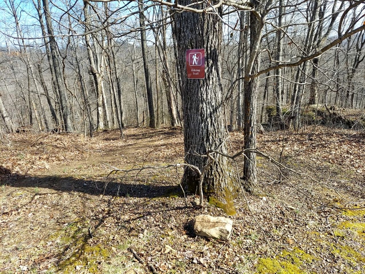 Cozy Family-Friendly Cabin with Private Outdoor Jacuzzi near Huntington, West Virginia