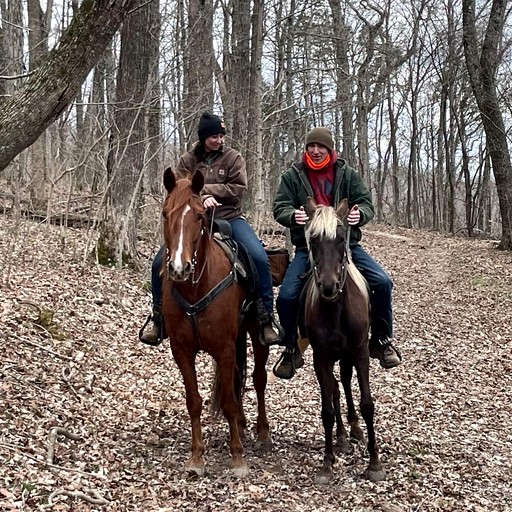 Log Cabins (United States of America, Genoa, West Virginia)