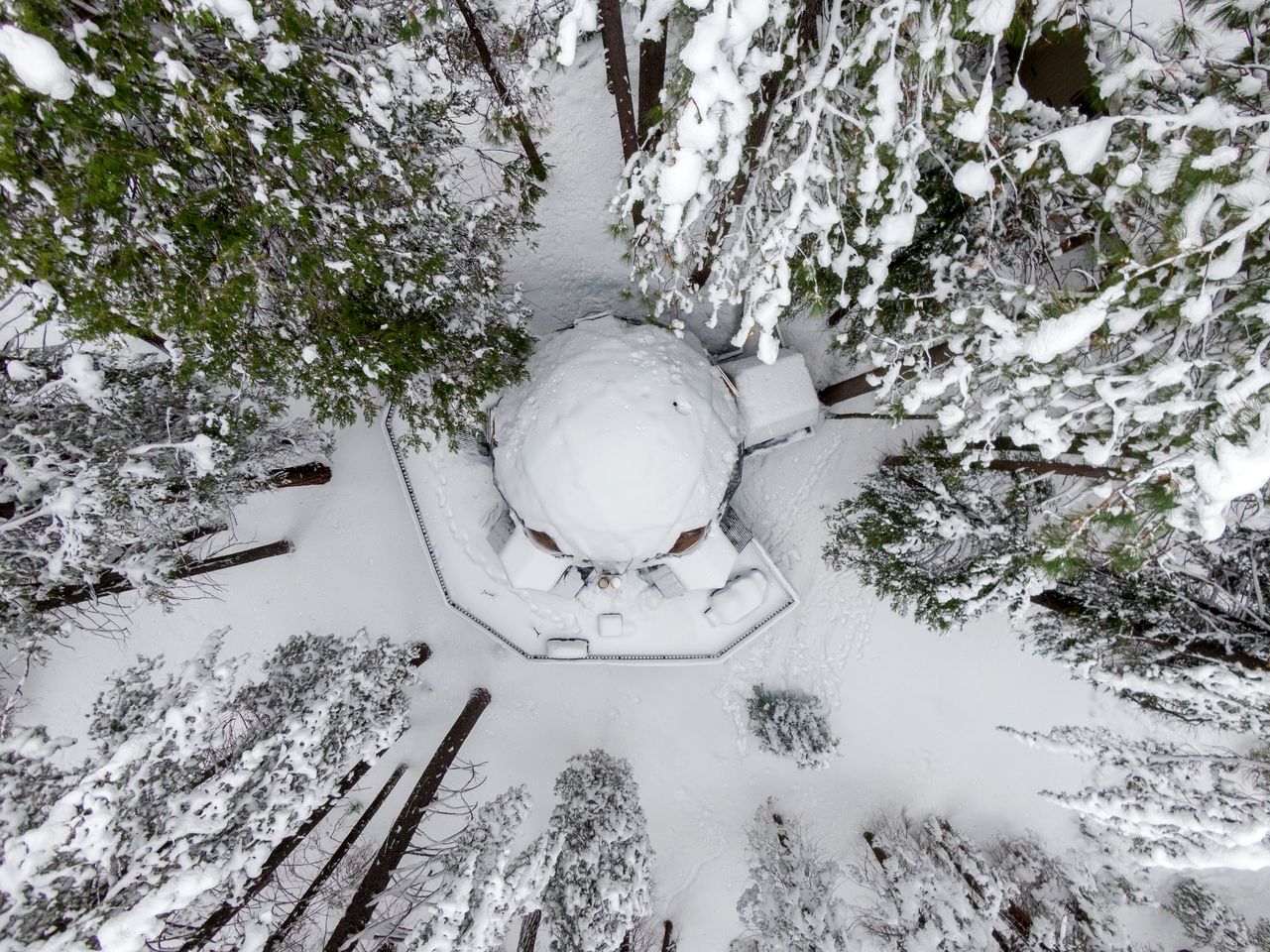 Secluded Dome Rental Surrounded by Stunning Nature near Arnold, California