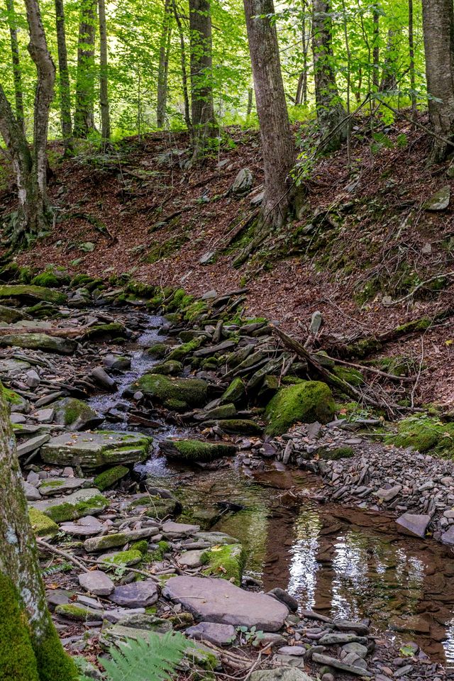Spacious Villa Rental with a Pool for a Large Group near Catskill Mountains, New York
