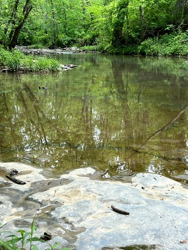Tree Houses (United States of America, Germantown, Kentucky)