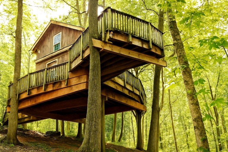 Tree Houses (United States of America, Germantown, Kentucky)
