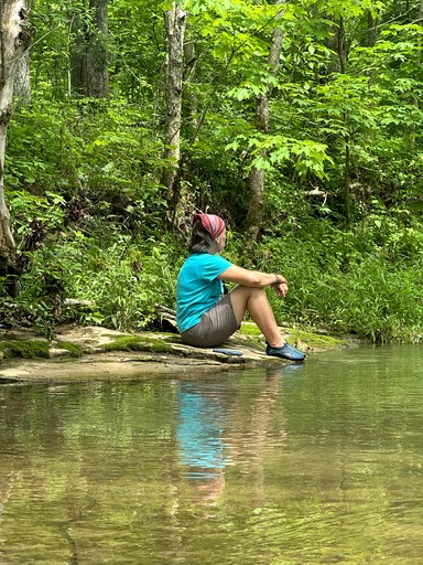 Tree Houses (United States of America, Germantown, Kentucky)