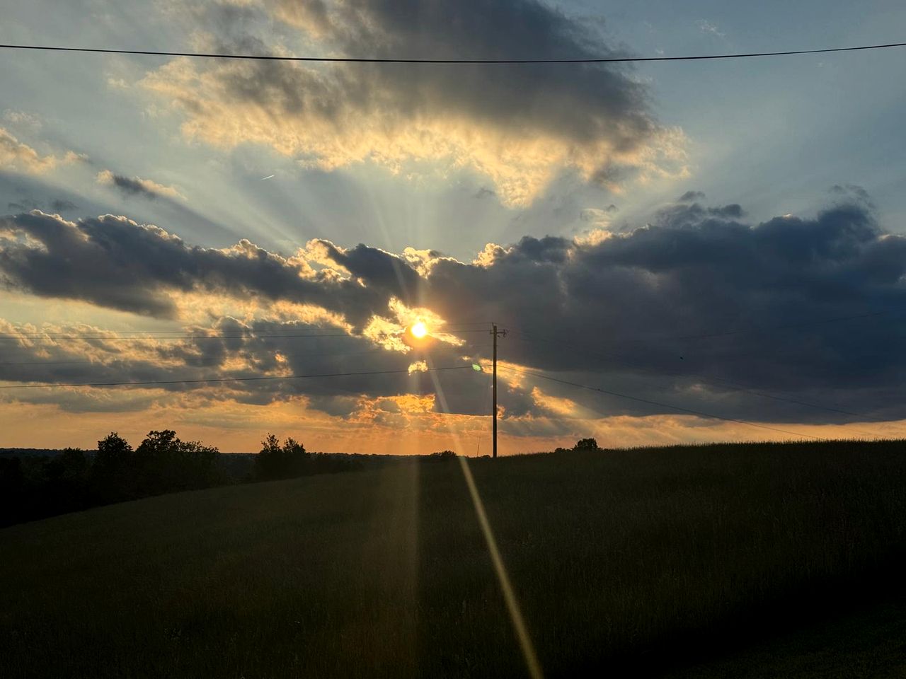 Magical Family Tree House in Secluded Woodland near Germantown, Kentucky