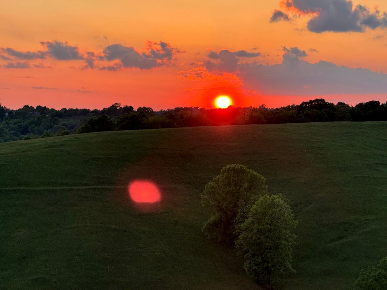Magical Family Tree House in Secluded Woodland near Germantown, Kentucky