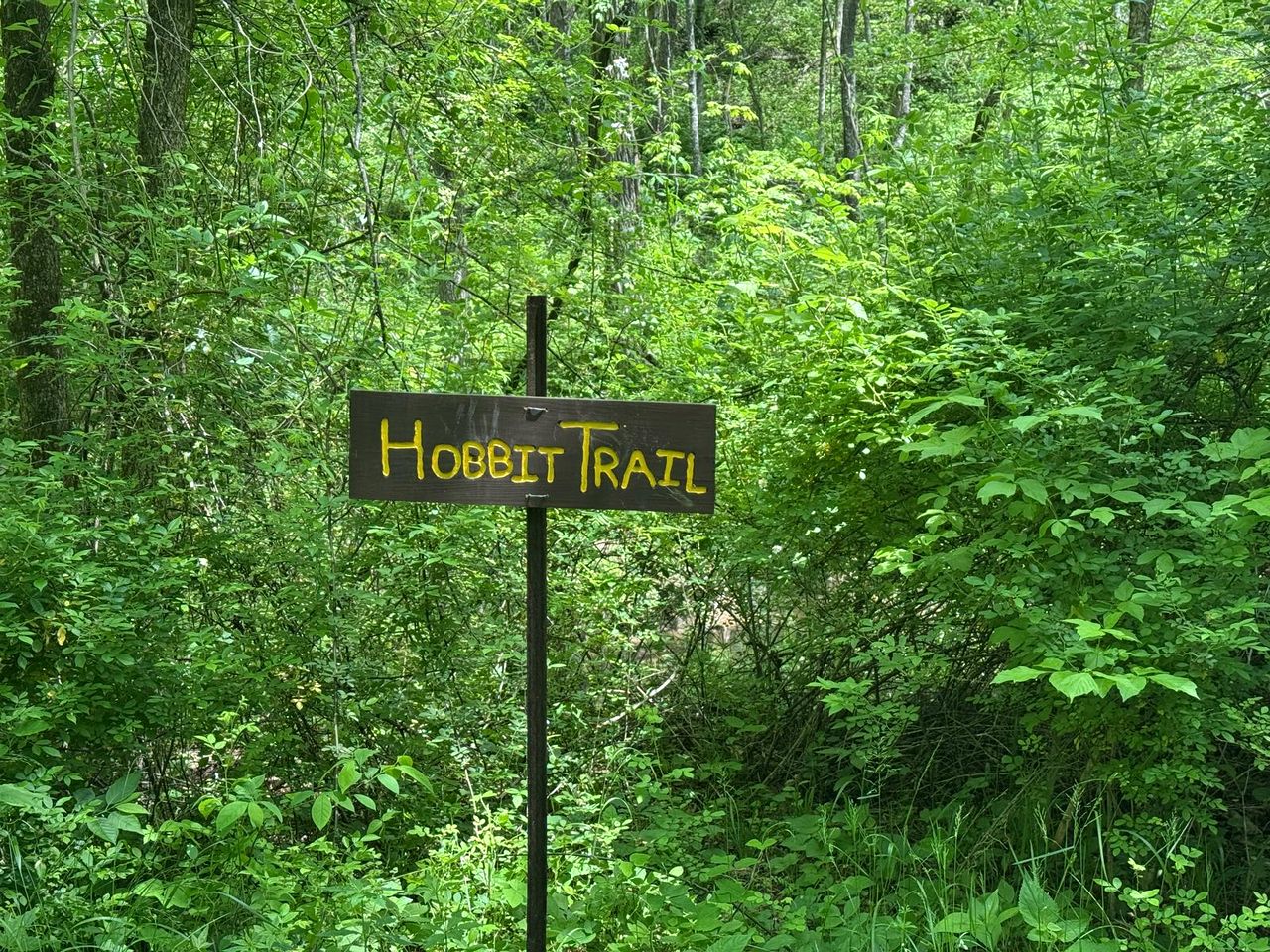 Magical Family Tree House in Secluded Woodland near Germantown, Kentucky