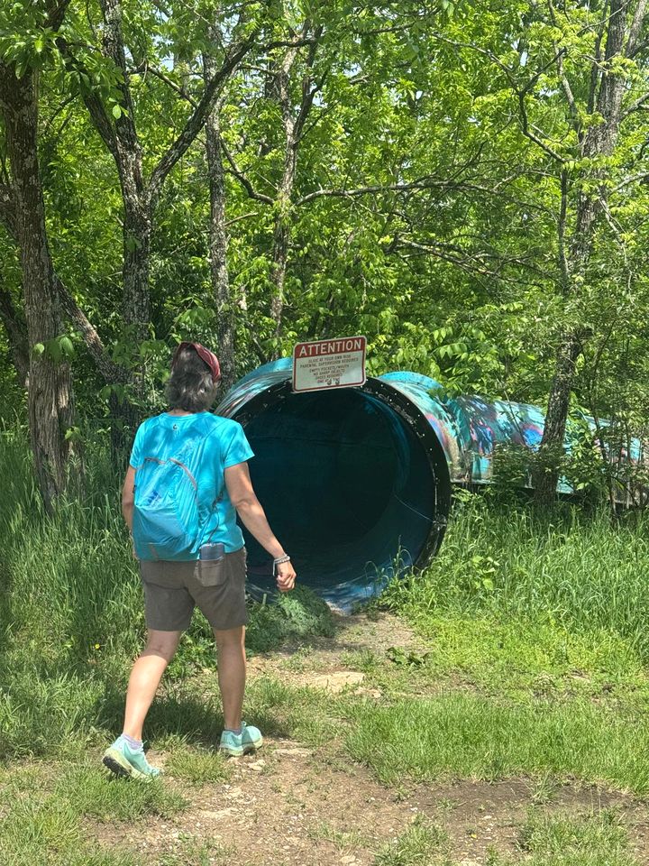 Magical Family Tree House in Secluded Woodland near Germantown, Kentucky