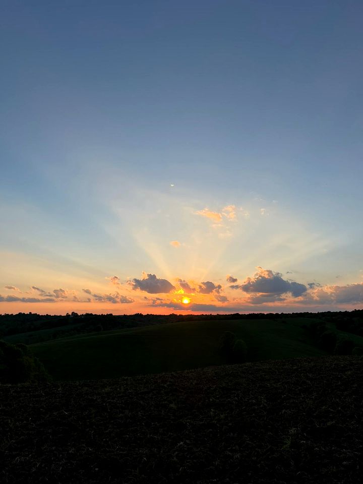 Magical Family Tree House in Secluded Woodland near Germantown, Kentucky