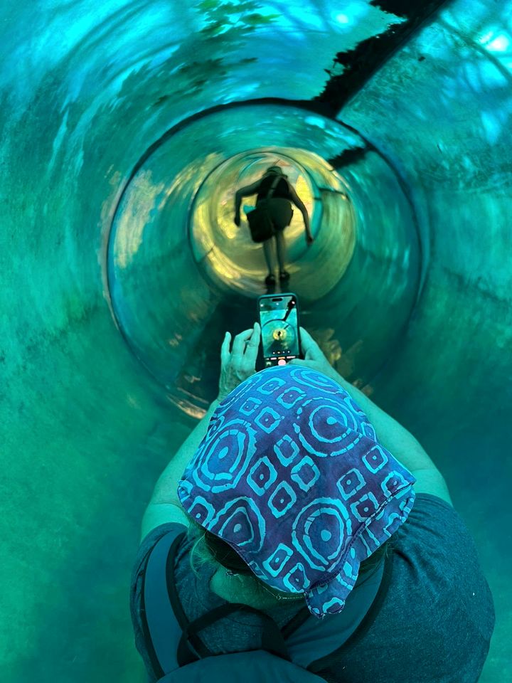 Magical Family Tree House in Secluded Woodland near Germantown, Kentucky