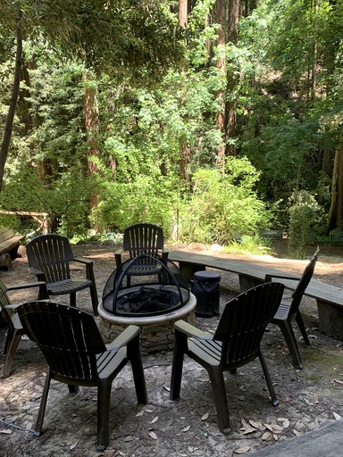 The Yurt at Camp Cruz Redwood Retreat | Yurts (Watsonville, California, United States of America)