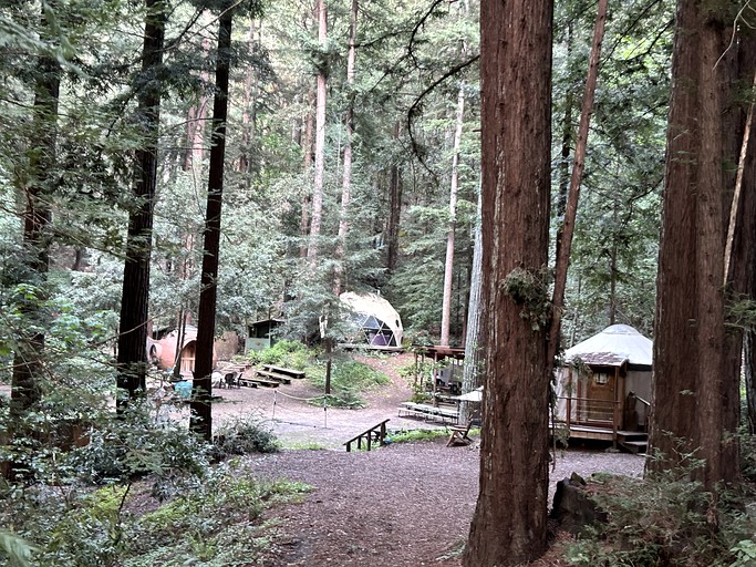 The Yurt at Camp Cruz Redwood Retreat | Yurts (Watsonville, California, United States of America)