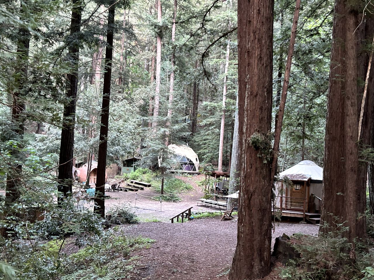 Peaceful Nature Glamping Retreat with Private Yurt and Outdoor Amenities near Watsonville, California