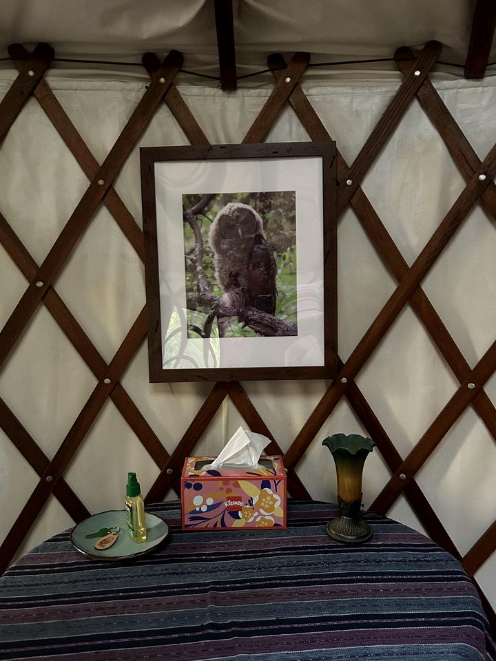 Peaceful Nature Glamping Retreat with Private Yurt and Outdoor Amenities near Watsonville, California