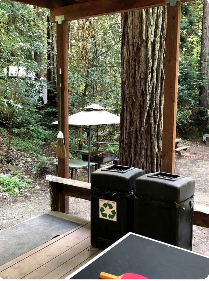 Peaceful Nature Glamping Retreat with Private Yurt and Outdoor Amenities near Watsonville, California