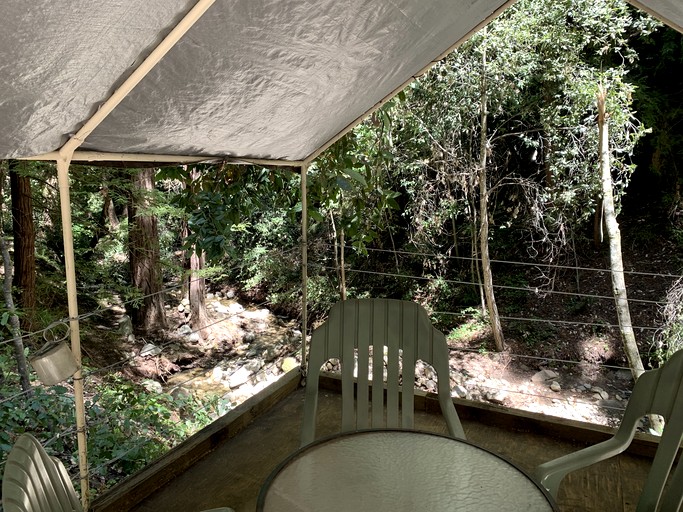 The Yurt at Camp Cruz Redwood Retreat | Yurts (Watsonville, California, United States of America)