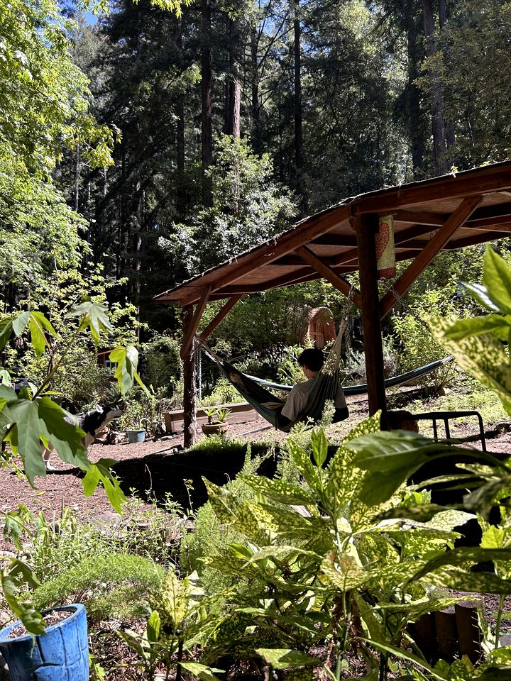 Peaceful Nature Glamping Retreat with Private Yurt and Outdoor Amenities near Watsonville, California