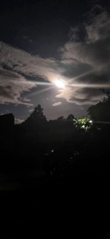 Charming Safari Tent Rental Situated near New Plymouth, North Island