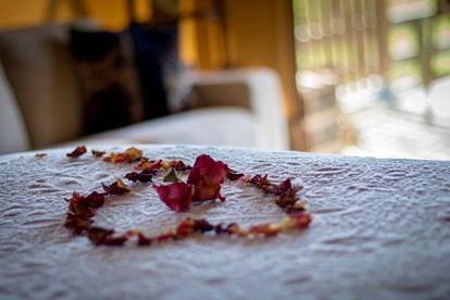 Charming Safari Tent Rental Situated near New Plymouth, North Island photo 4