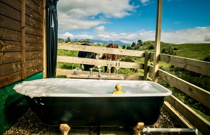 Charming Safari Tent Rental Situated near New Plymouth, North Island photo 5