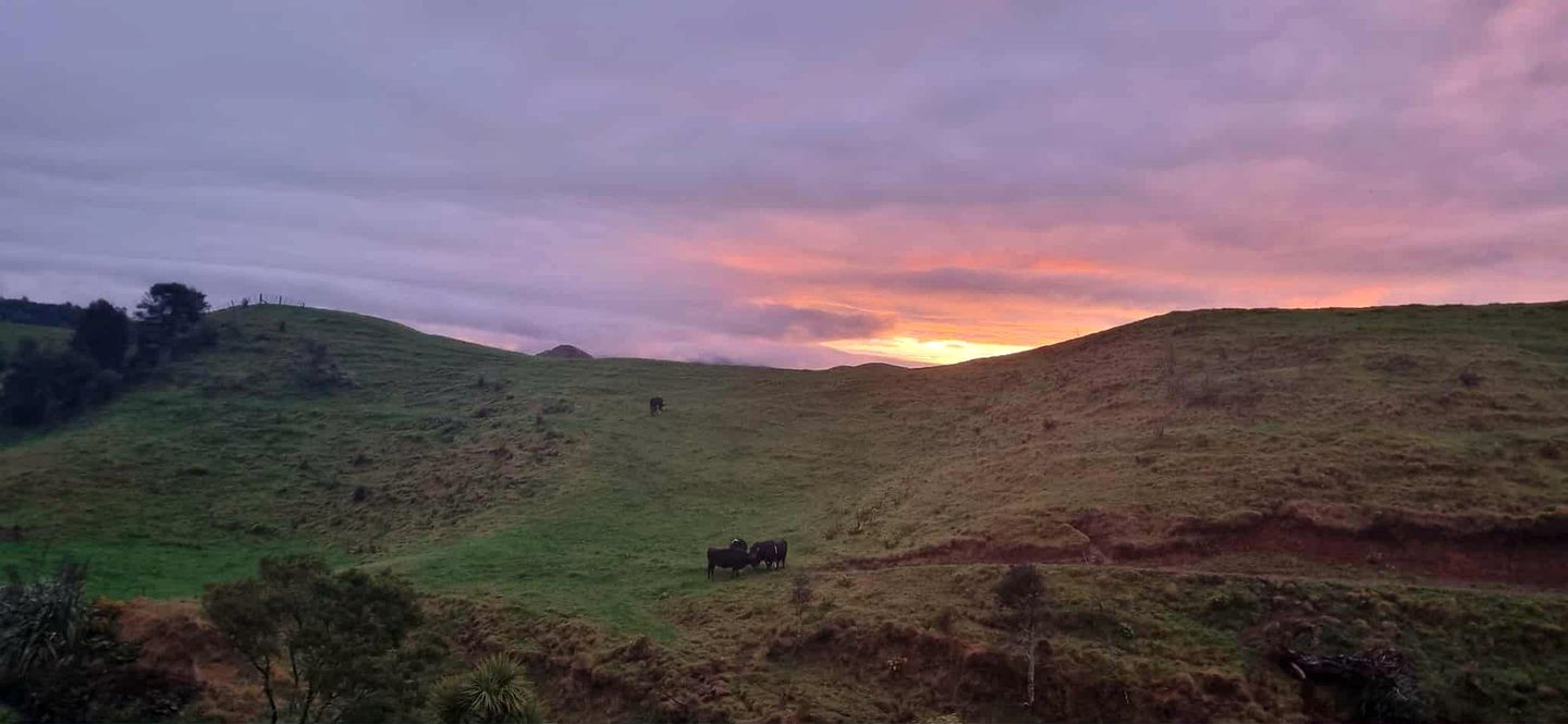 Charming Safari Tent Rental Situated near New Plymouth, North Island