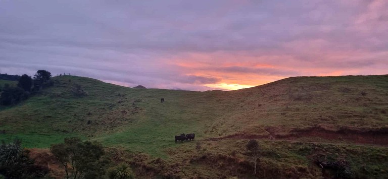 Safari Tents (New Zealand, New Plymouth, North Island)