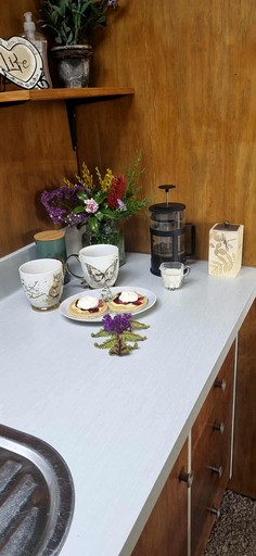 Safari Tents (New Zealand, New Plymouth, North Island)