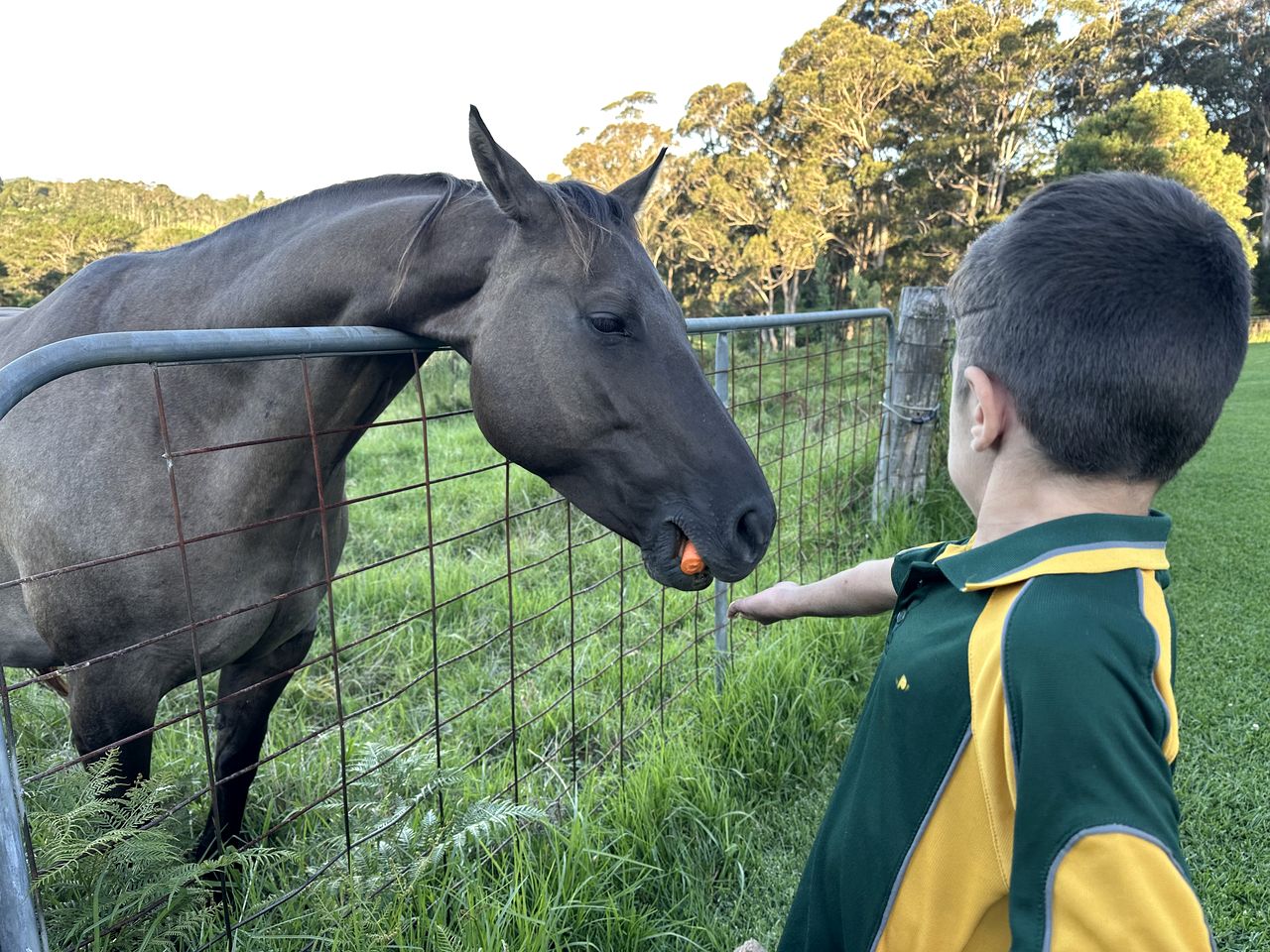 Charming Cottage Rental with Views of the Blue Mountains in Berambing, New South Wales