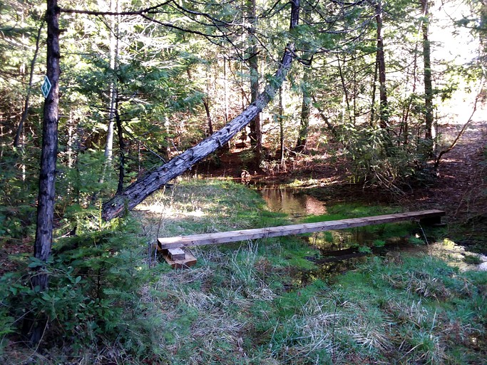 Log Cabins (Nevada City, United States)