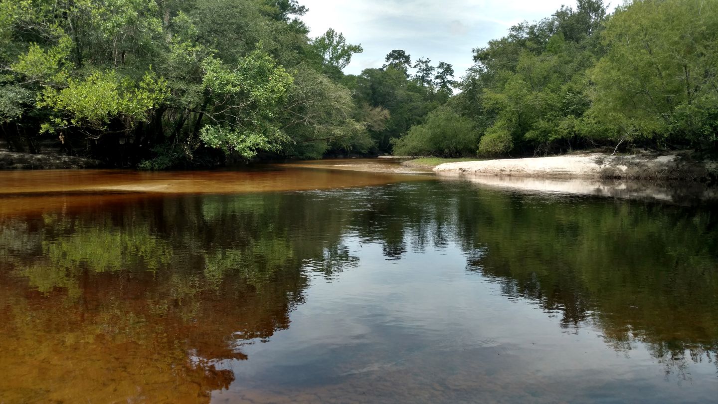 Family-Friendly Cabin Rental in Coastal Georgia near the Golden Isles