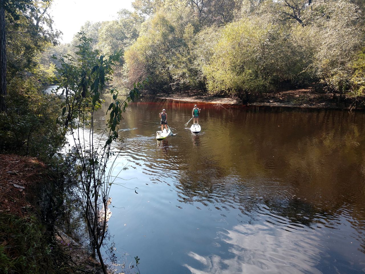 Family-Friendly Cabin Rental in Coastal Georgia near the Golden Isles