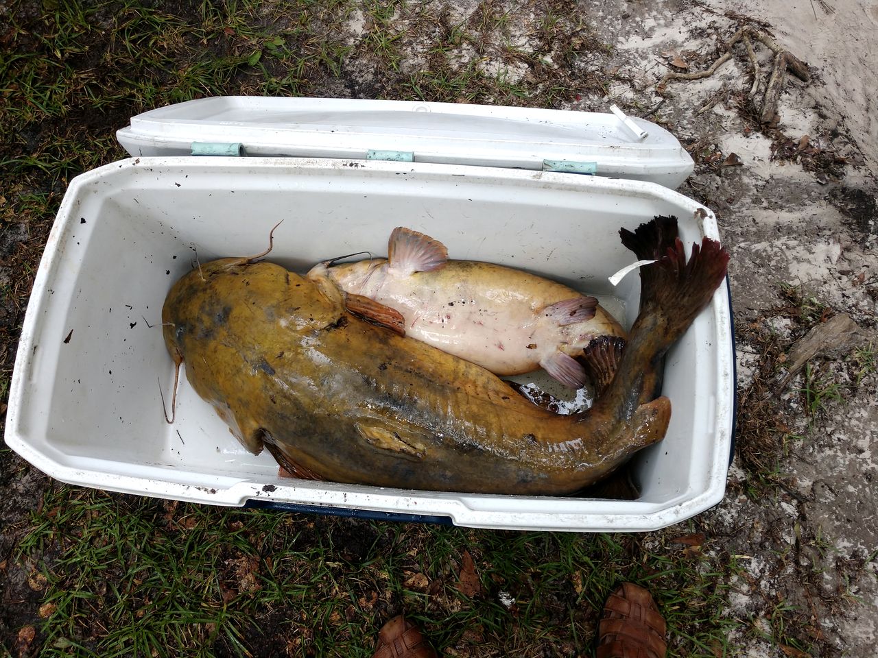 Riverfront Getaway Cabin with a Boat Ramp Access near Brunswick in Southeast Georgia