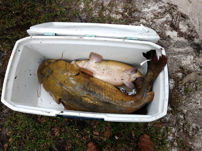 Riverfront Getaway Cabin with a Boat Ramp Access near Brunswick in Southeast Georgia | Cabins (Brunswick, Georgia, United States of America)