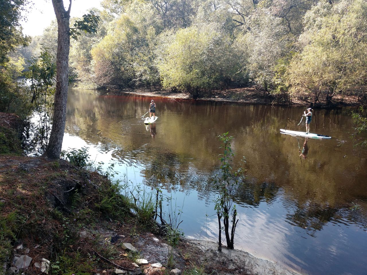 Riverfront Getaway Cabin with a Boat Ramp Access near Brunswick in Southeast Georgia