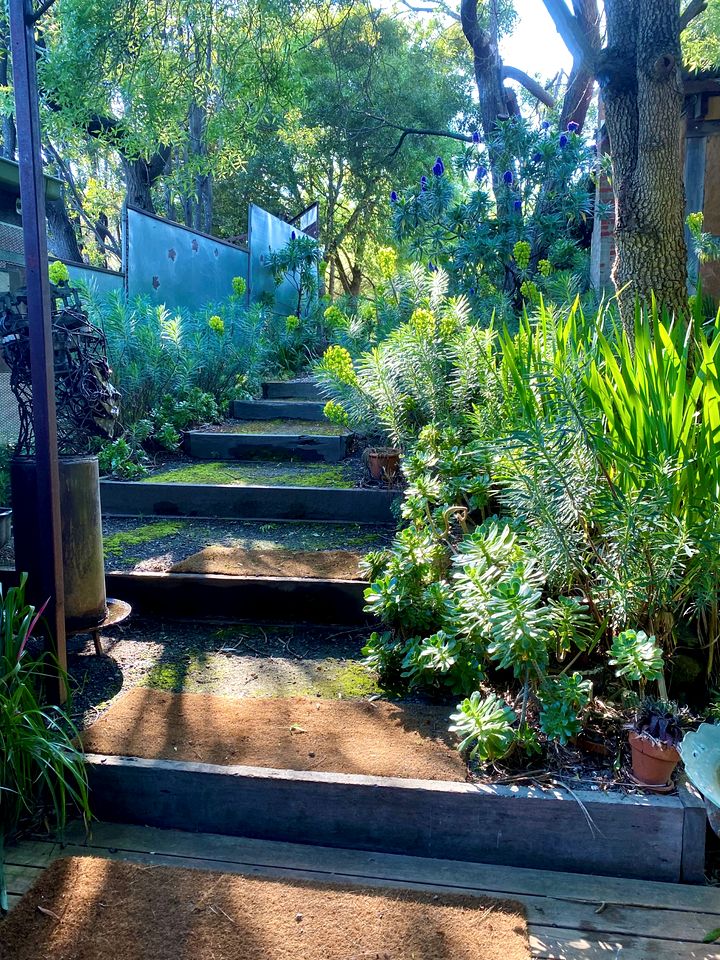 Modern Cabin Rental near Natural Mineral Springs in Daylesford, Victoria