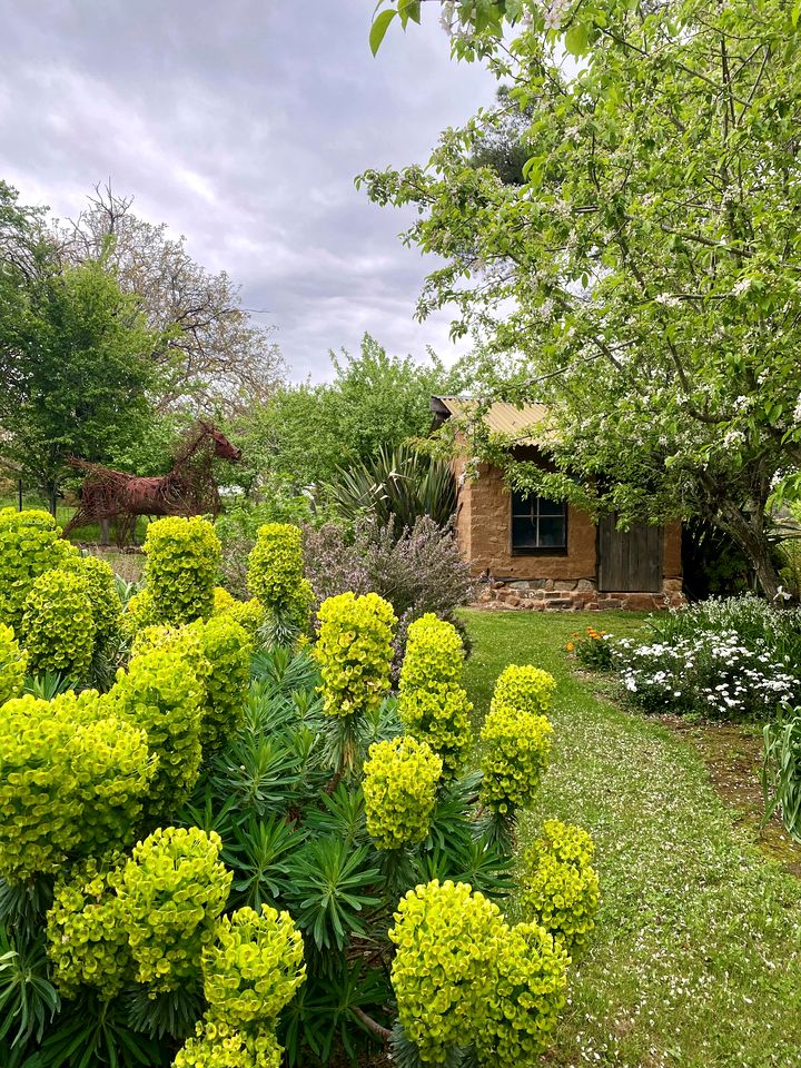 Modern Cabin Rental near Natural Mineral Springs in Daylesford, Victoria