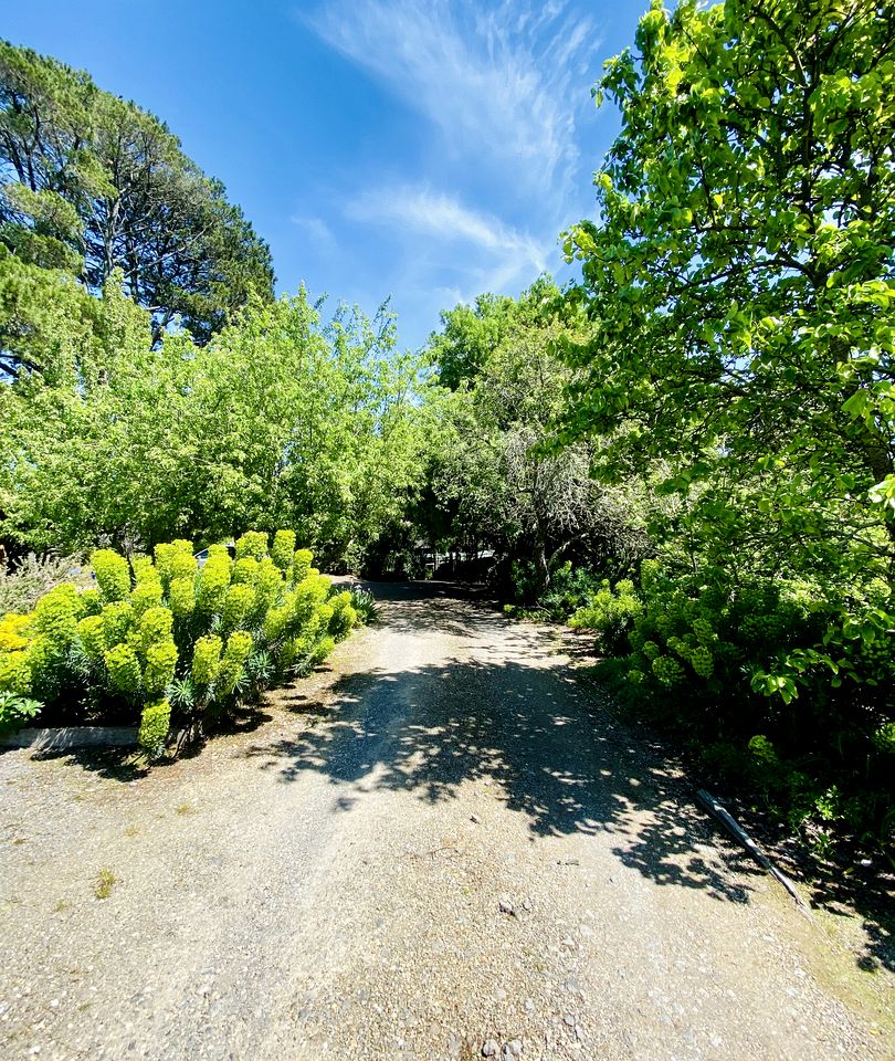 Rustic Cabin Rental Overlooking the Forest near Daylesford, Victoria